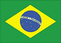 Brasilienfahne Grafik